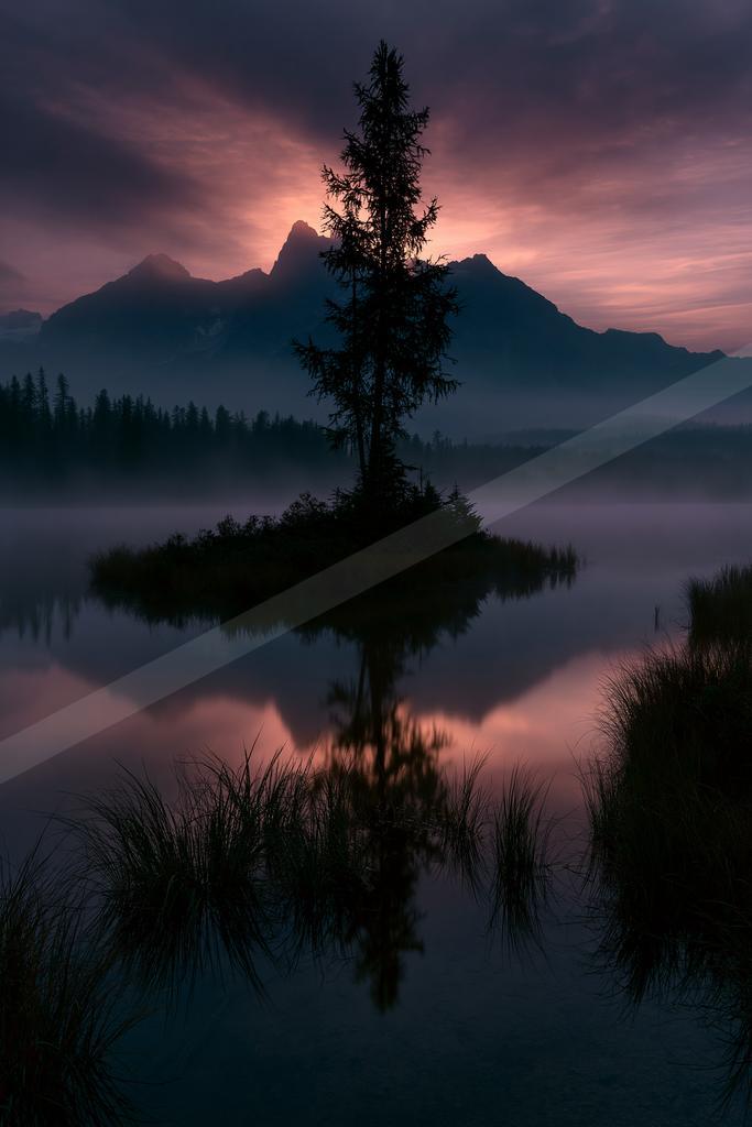 A serene water scene of lake, trees, mountains.