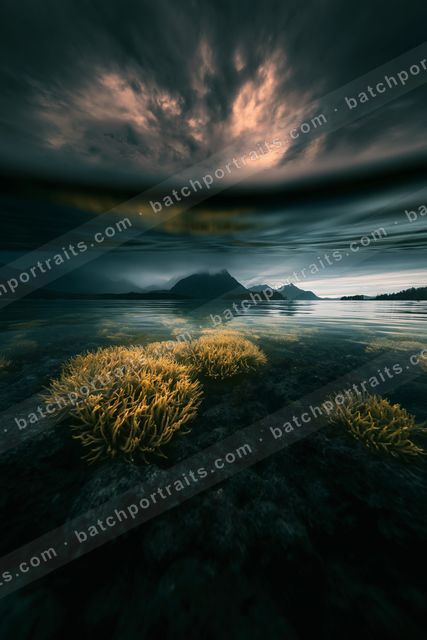 An underwater view of vibrant coral formations illuminated by a dramatic sky reflected on the water's surface.