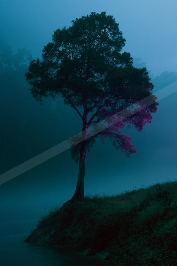 A solitary tree with purple illuminated branches stands on a grassy riverbank surrounded by thick blue fog at night.