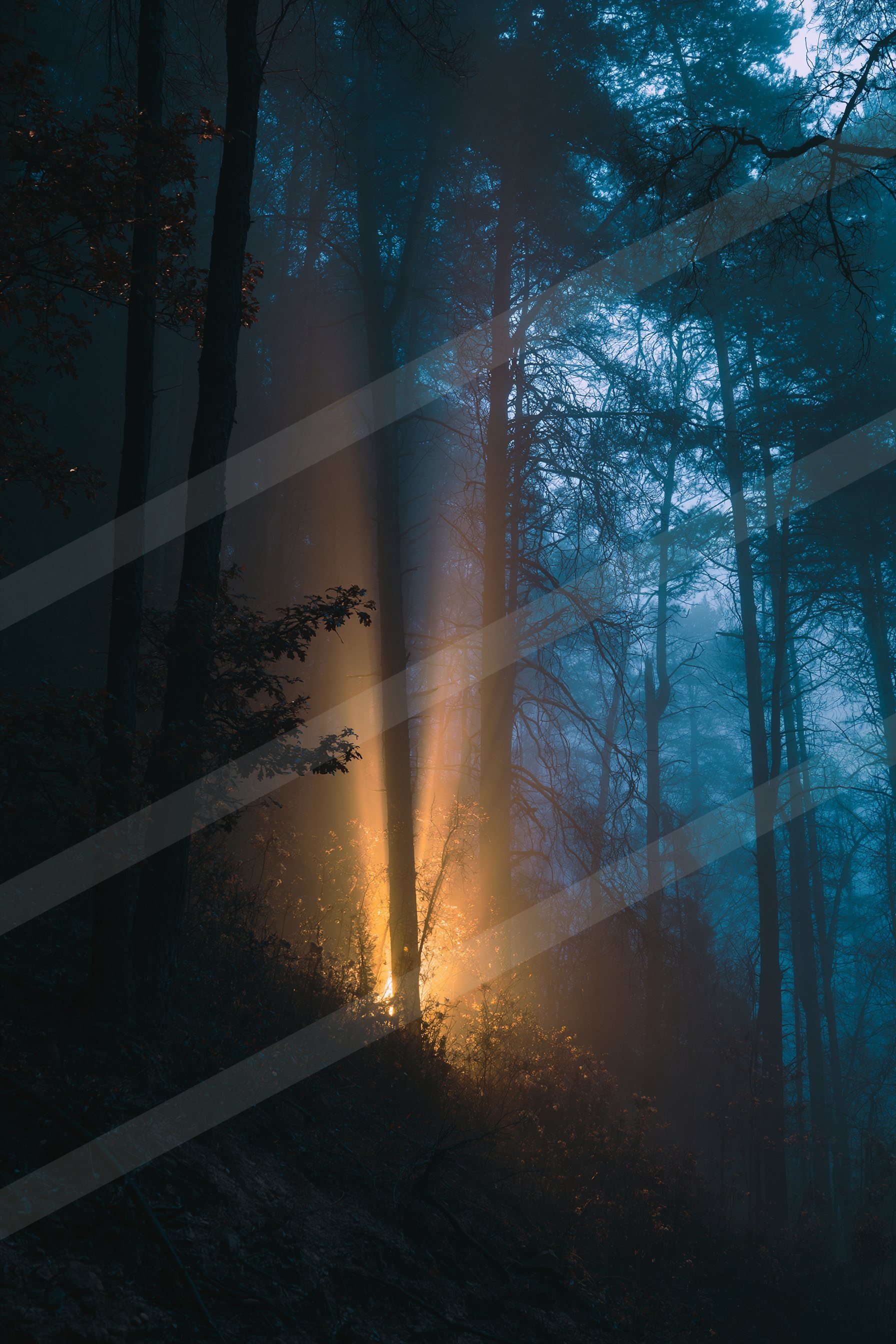 A mysterious long exposure sky scene of a sunbeams, fog.