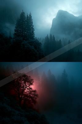 Dramatic split-view of a foggy coniferous forest with snow-dusted trees and rocky mountains; the top panel shows cool blue mist while the bottom features a myst