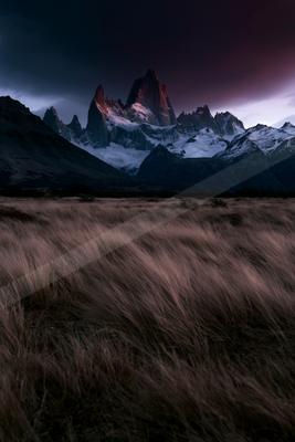 A dramatic, jagged snow-capped mountain range rises under a dark, moody sky with purple and pink hues, while a field of windswept golden-brown grass fills the f