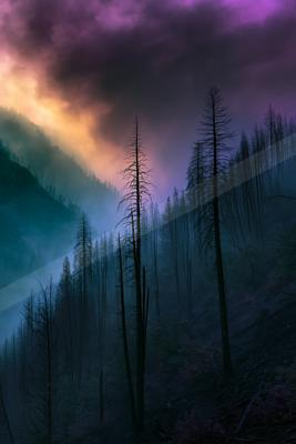 A dramatic nature scene of forest, mountains, storm.