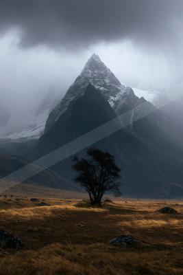A dramatic landscape of mountains, trees, fog.