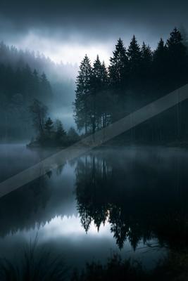 A serene water scene of lake, forest.