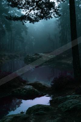 A serene nature scene of forest, lake, river.