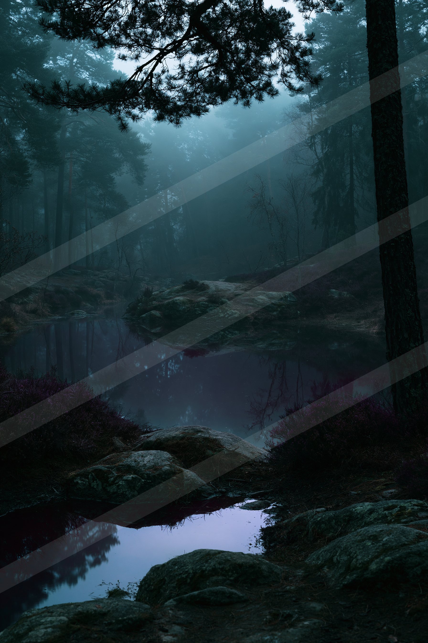 A mysterious water scene of a stream, reflection.