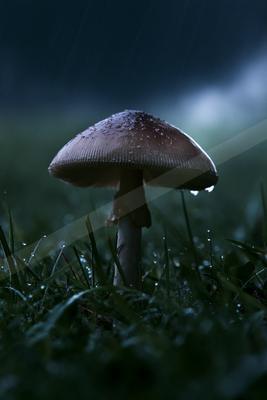 A night still life.