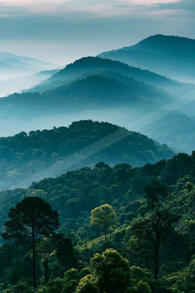 A serene mountain range shrouded in mist with a dense forest in the foreground.