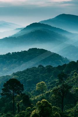 A serene mountain range shrouded in mist with a dense forest in the foreground.