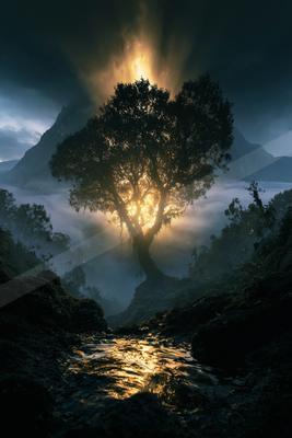 A dramatic sky scene of sunrise, sunset, trees.