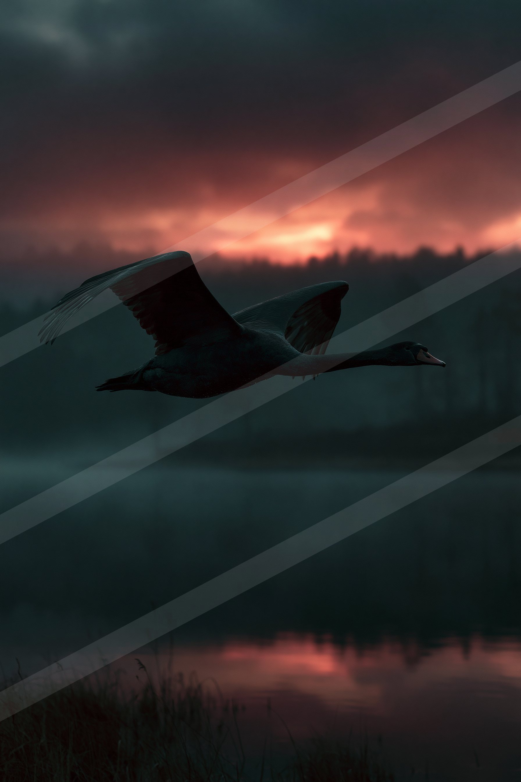 A lone swan gracefully flying over a serene lake during a dramatic twilight sky.