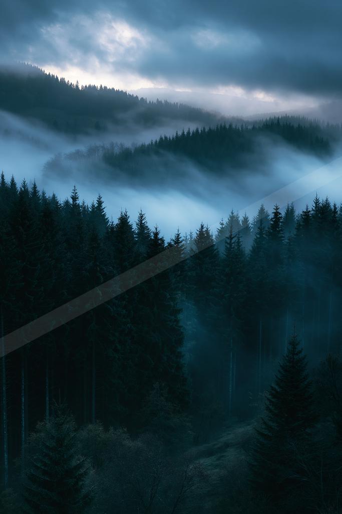A blue hour nature scene of forest, mountains, valley.