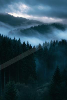 A blue hour landscape of a rolling hills, fog.