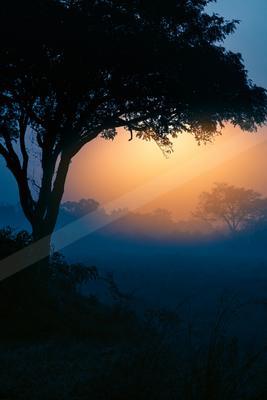 A blue hour sky scene of sunrise, sunset, fog.
