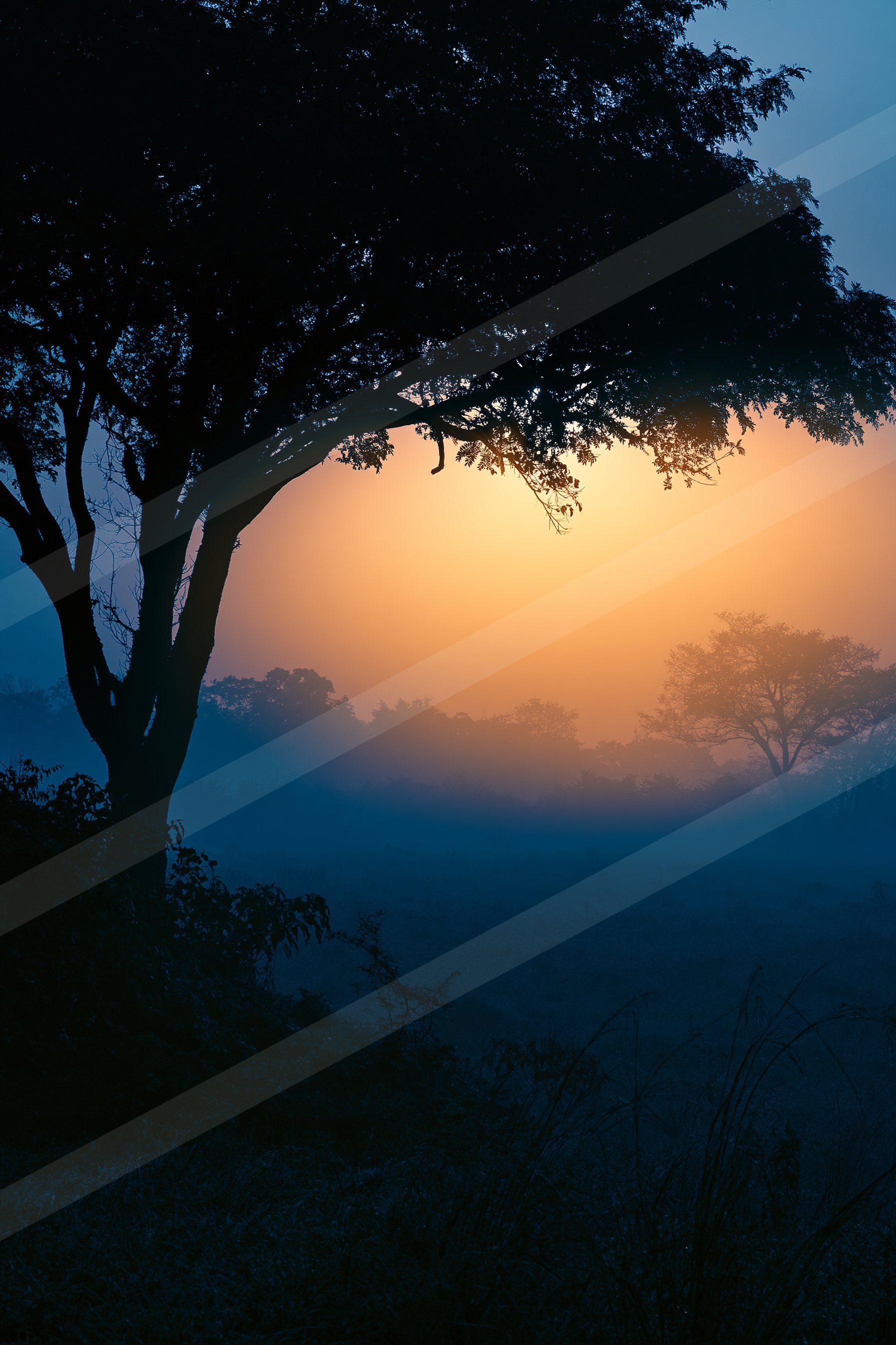 A blue hour high contrast sky scene of a sunrise, fog.