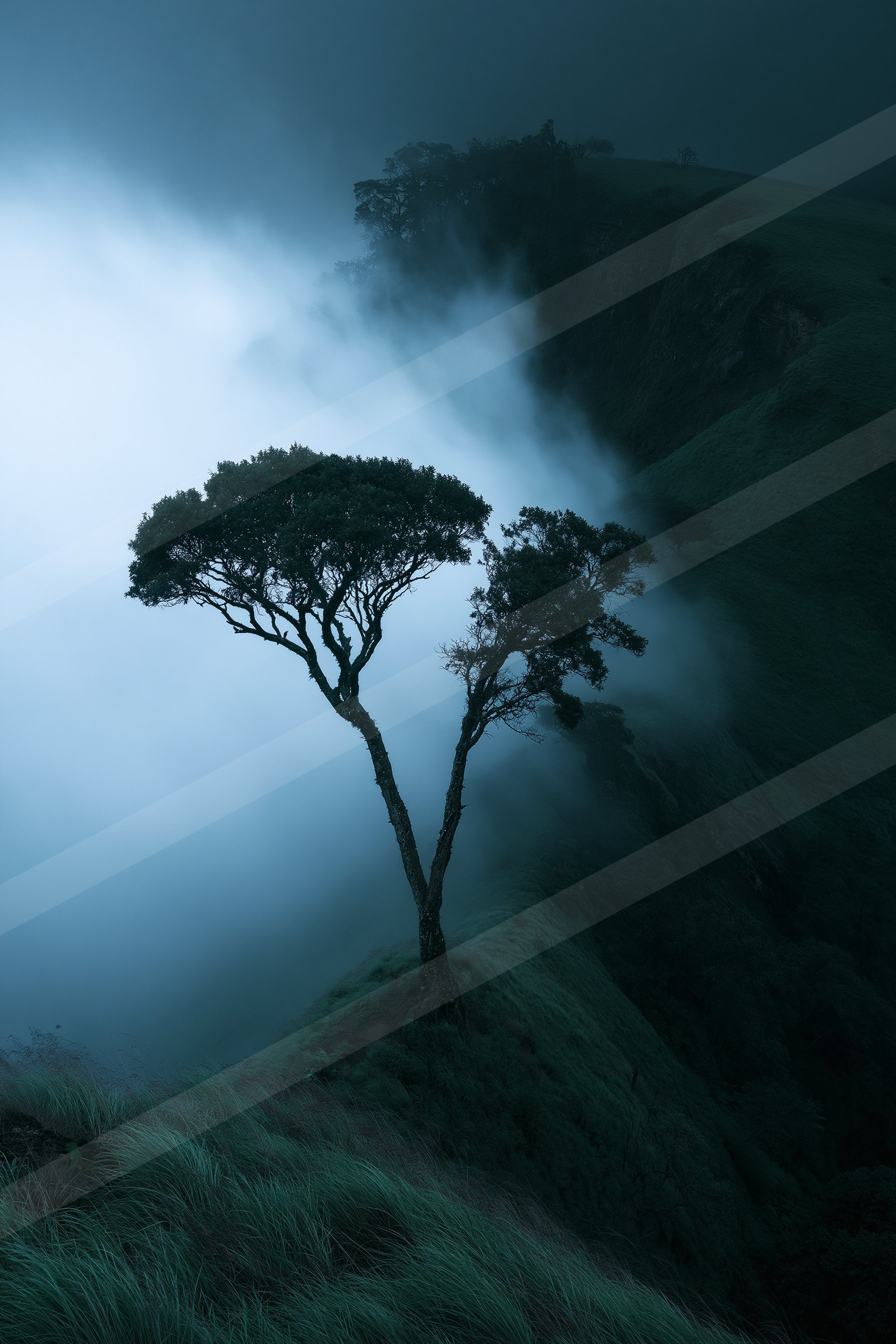 A lone tree stands resiliently against a backdrop of dense fog and rolling hills, creating an atmospheric scene.