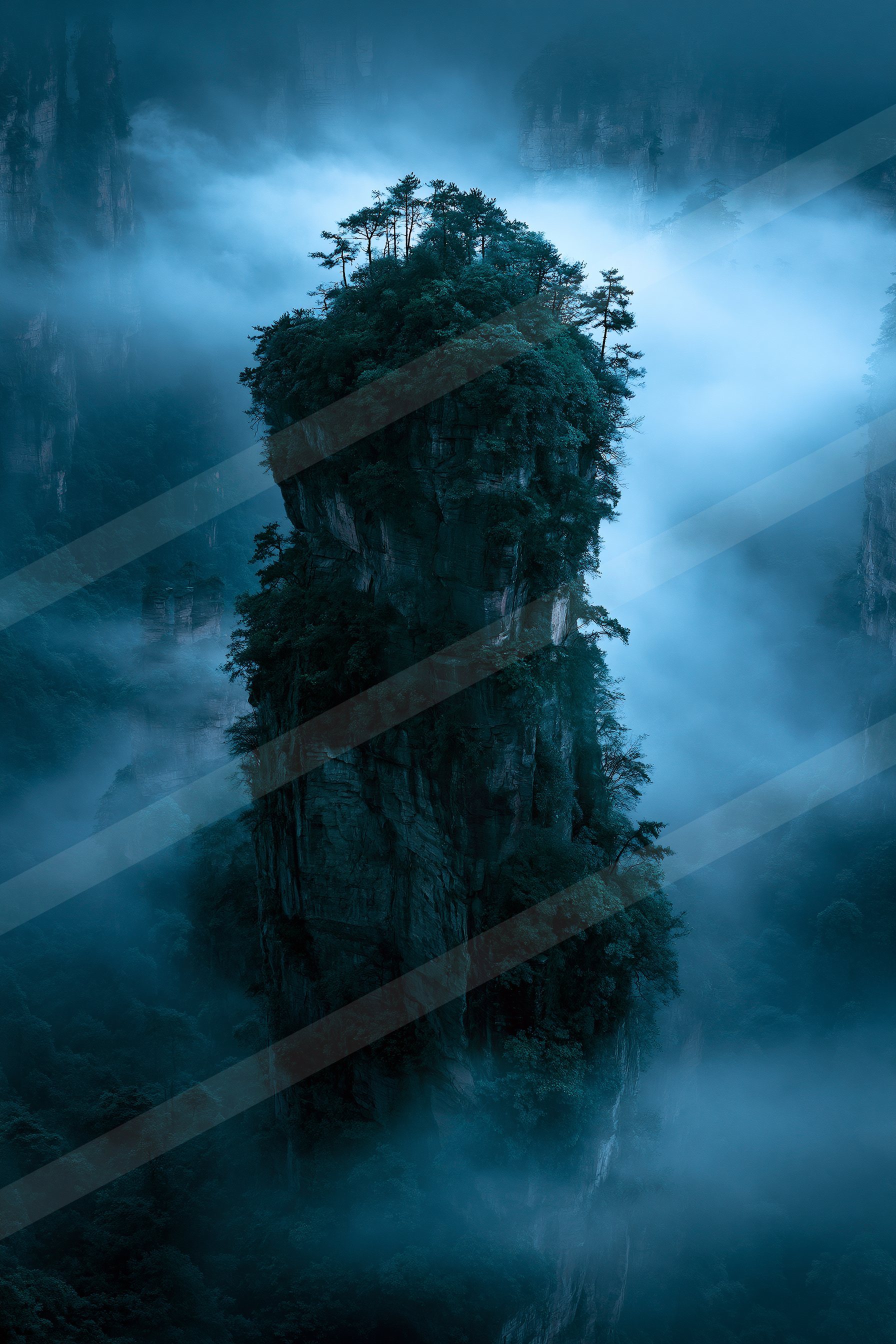 A mysterious double exposure nature scene of a pine tree, fog.