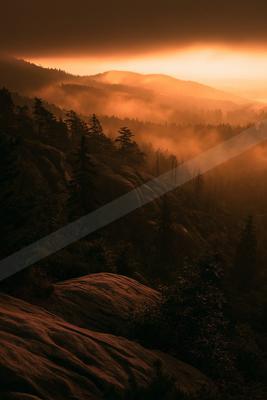 A golden hour high contrast sky scene of a sunrise, fog.