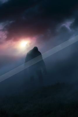 A mysterious sky scene of a sunrise, fog.