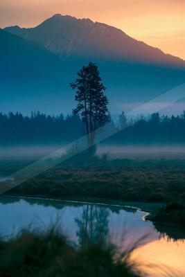 A blue hour nature scene of trees, lake, mountains.