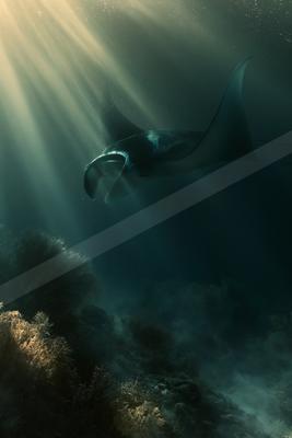 A moody water scene of ocean.