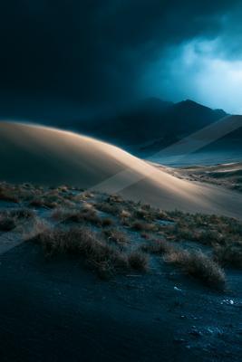 A moody landscape of desert.