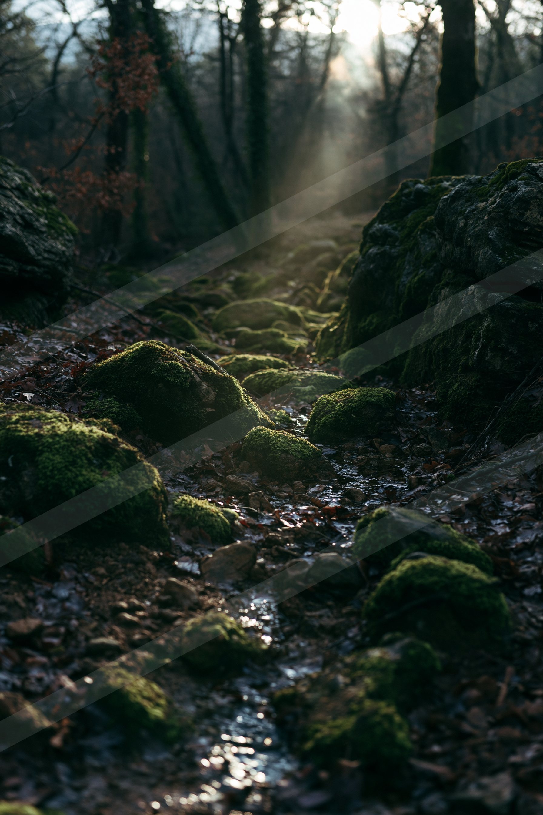 A black-and-white mysterious water scene of a stream, rocks.