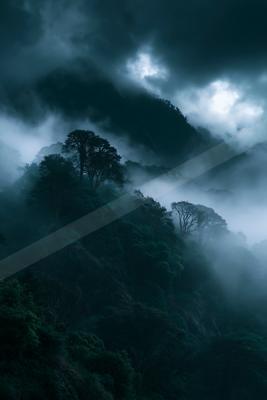 A night landscape of mountains, trees, forest.