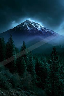 A snow-covered mountain peak emerges through thick blue mist and dark storm clouds, towering over a dense evergreen forest in the foreground.