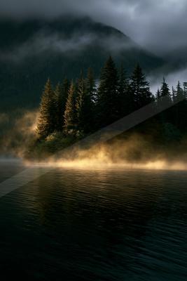 A serene lake surrounded by a dense forest under a cloudy sky, shrouded in mist.