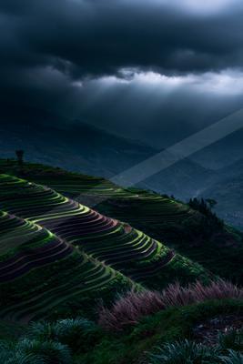 A moody landscape of valley, field, mountains.