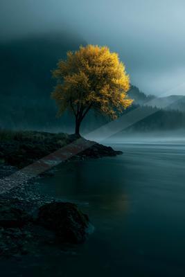 A serene nature scene of trees, lake, river.