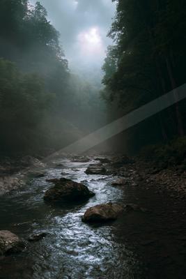A black-and-white serene water scene of river.