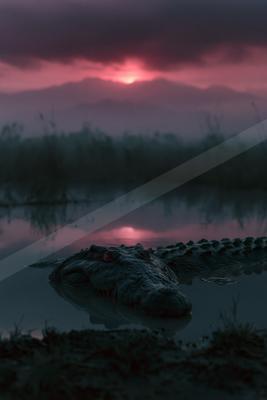 A crocodile with glowing red eyes partially submerged in calm water, with a dramatic red sunset and misty mountains in the background.