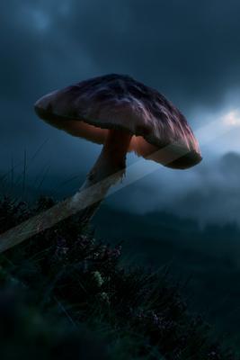 A large mushroom stands prominently against a dark forest backdrop during twilight.
