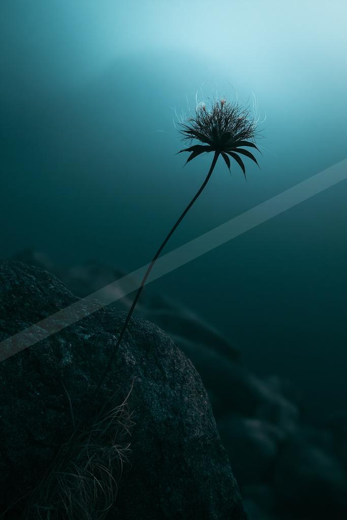 A moody water scene of ocean, still life.