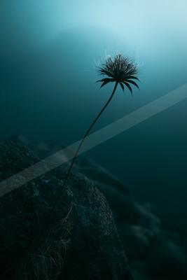 A moody water scene of ocean, still life.