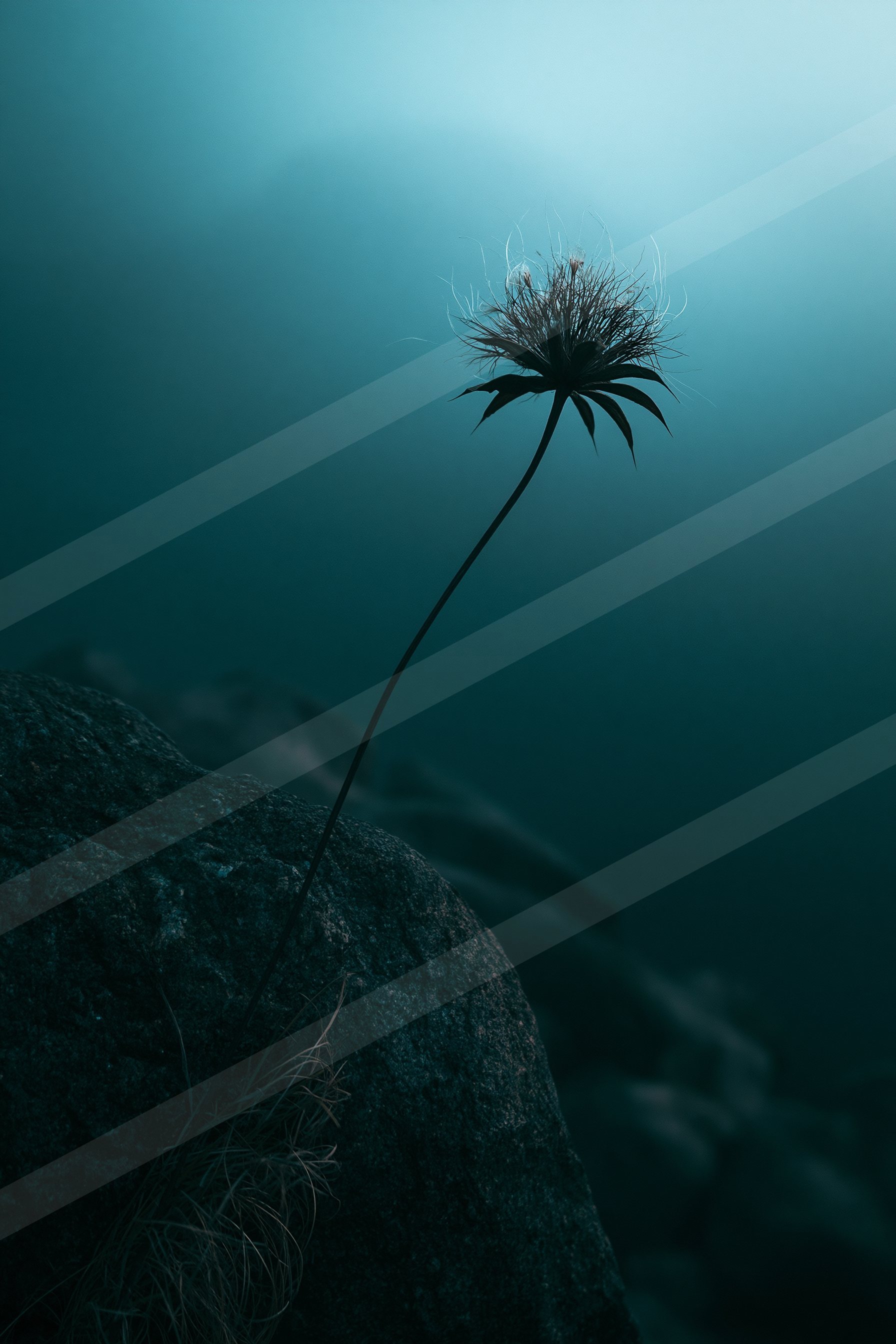 A spiky plant stands tall against a deep blue, ethereal background.