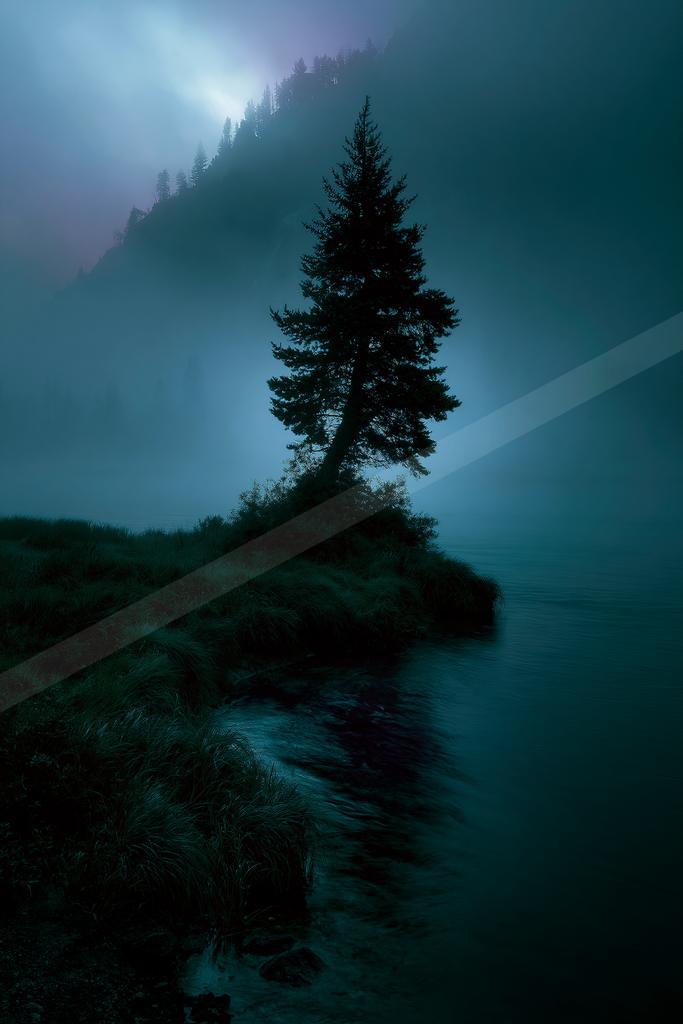 A solitary tall pine tree stands on a grassy bank beside a calm lake, surrounded by thick blue and purple fog with a forested mountain slope visible in the back