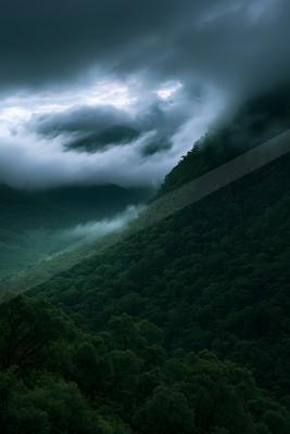 A moody high contrast landscape of a rolling hills, fog.