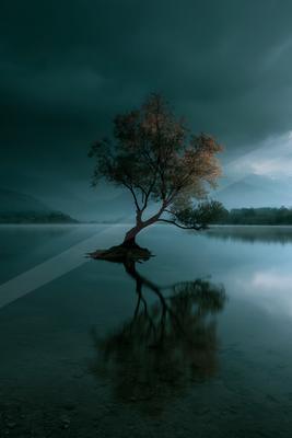 A solitary tree stands on a small island in a calm lake, its reflection visible in the still water under a dark, moody sky with distant mountains.