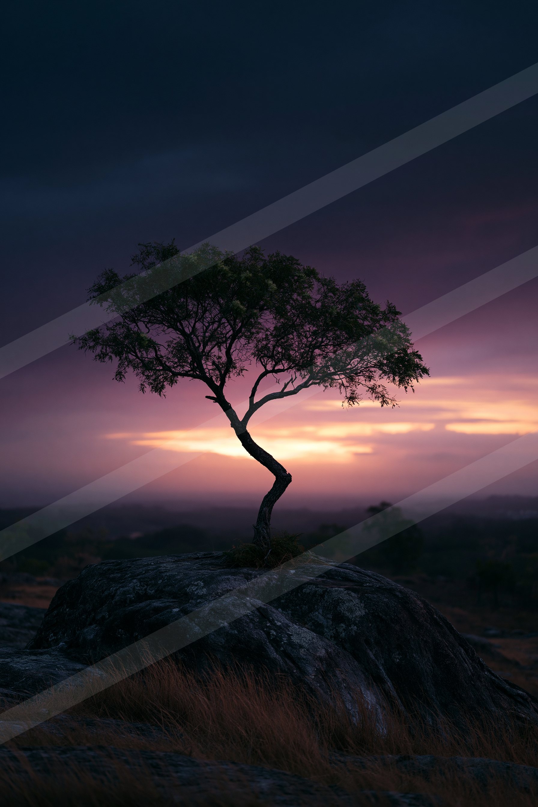 A night sky scene of a sunset, silhouette.