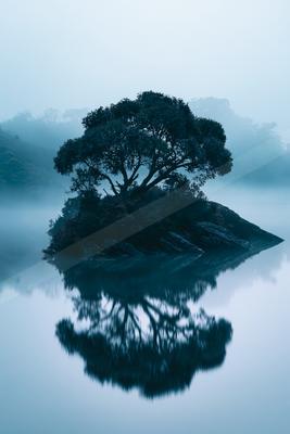 A serene symmetry water scene of a lake, reflection.