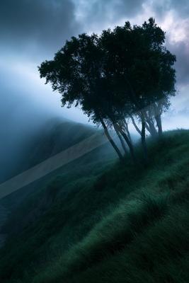 A dramatic long exposure nature scene of trees, storm, valley.