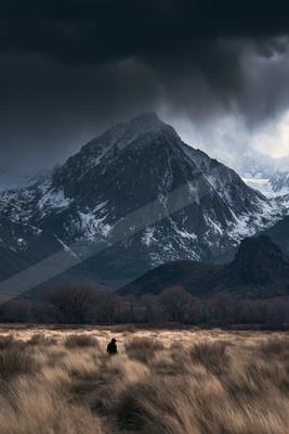 A dramatic landscape of mountains, storm, bear.