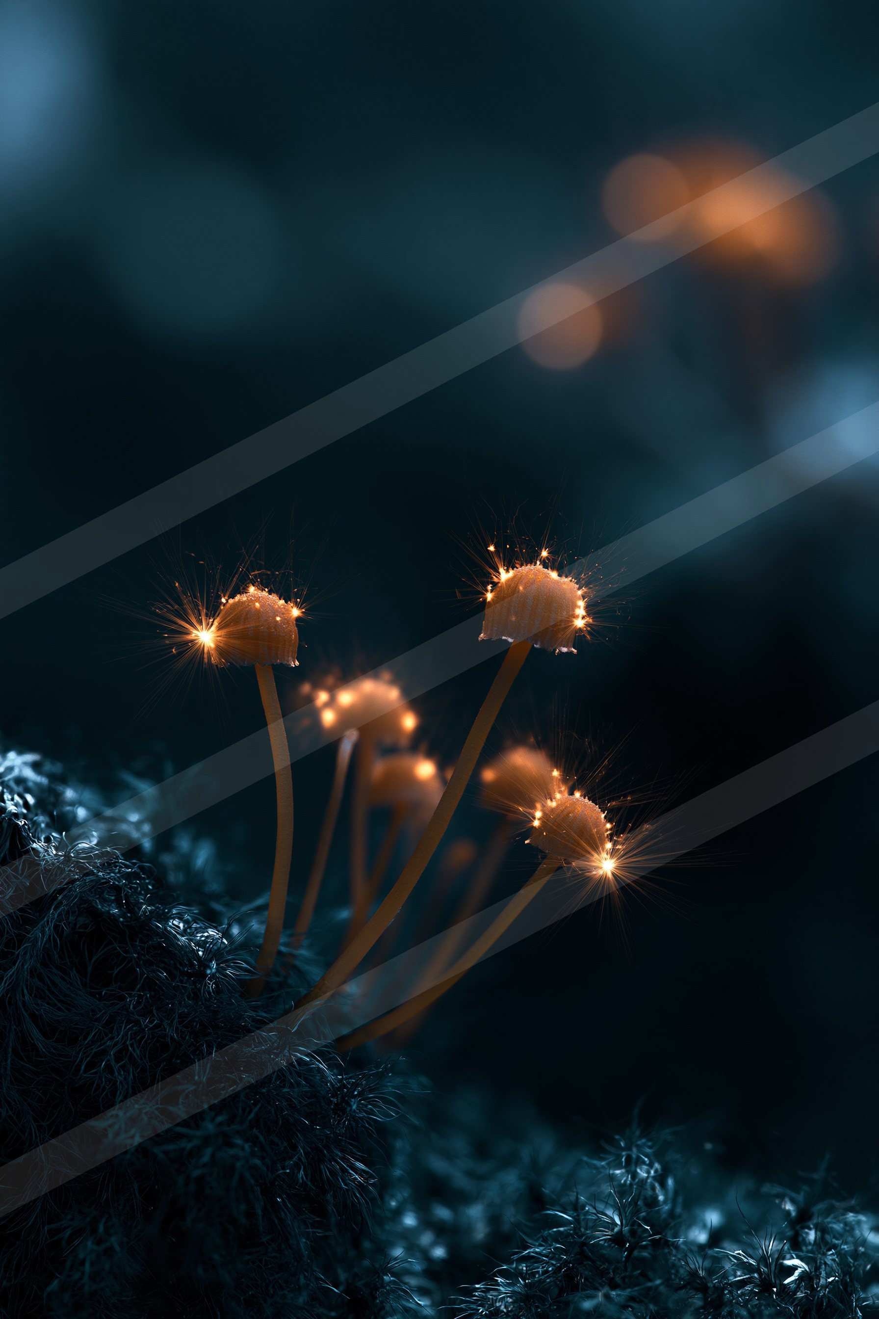 An ethereal macro nature scene of a mushroom, dust.