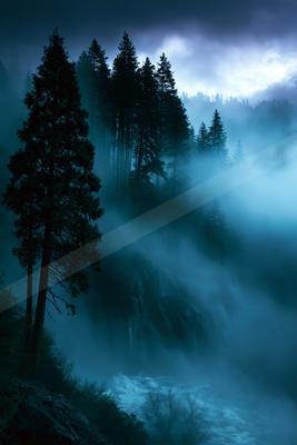 A serene forest landscape shrouded in mist, featuring tall evergreen trees silhouetted against a moody twilight sky. A river flows through the foggy valley belo