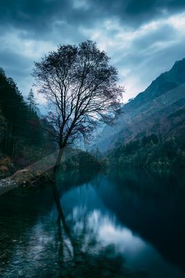 A blue hour long exposure water scene of lake, trees, river.