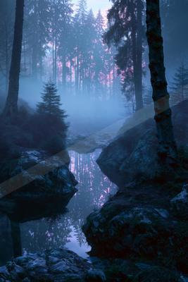 A night nature scene of forest, river, trees.